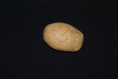 Feldkartoffel (ca. 200g)